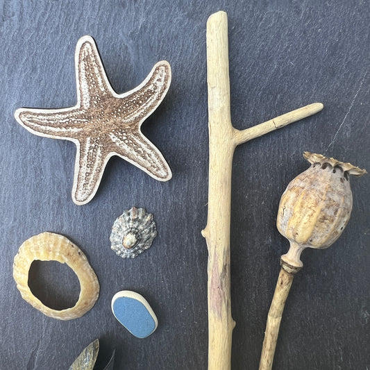 Starfish etched wooden badge