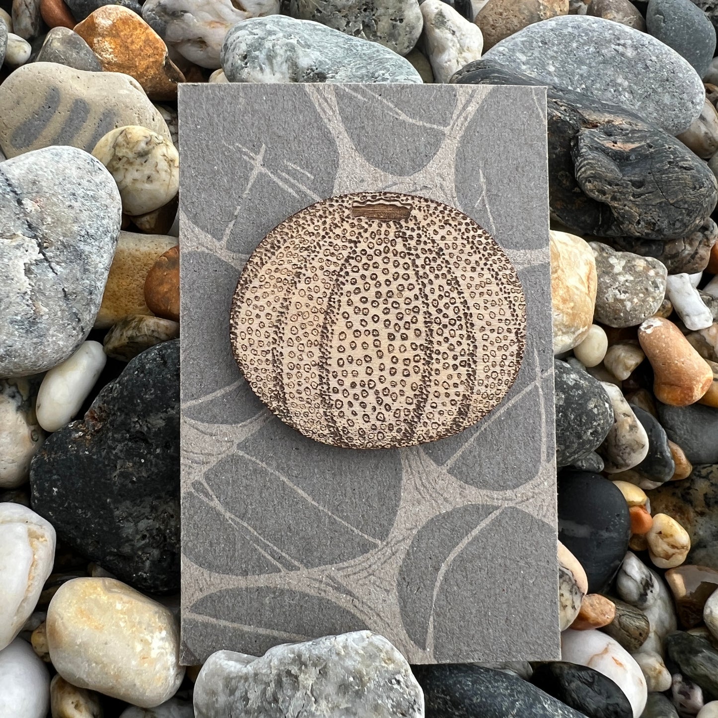 Sea urchin etched wooden brooch