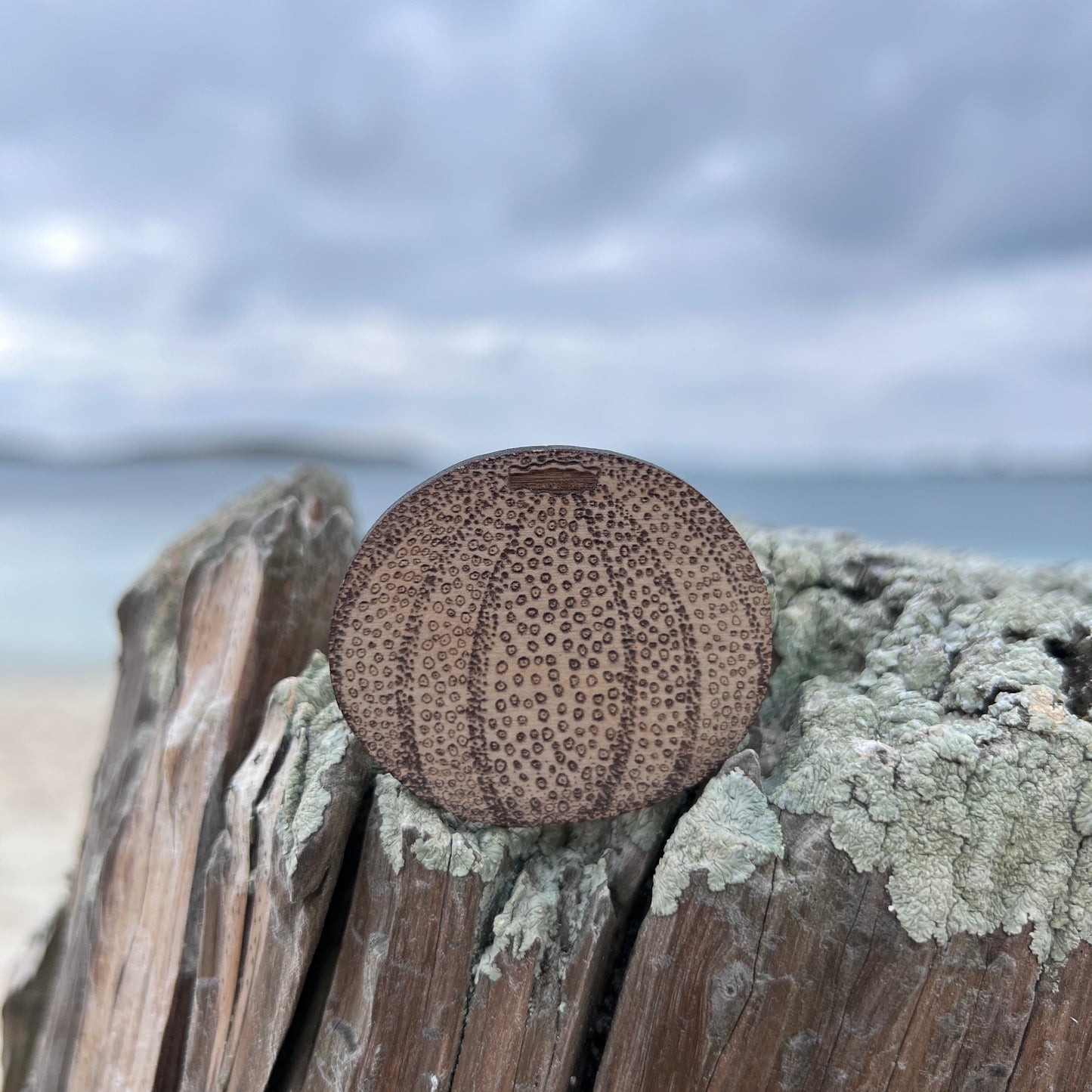Sea urchin etched wooden brooch