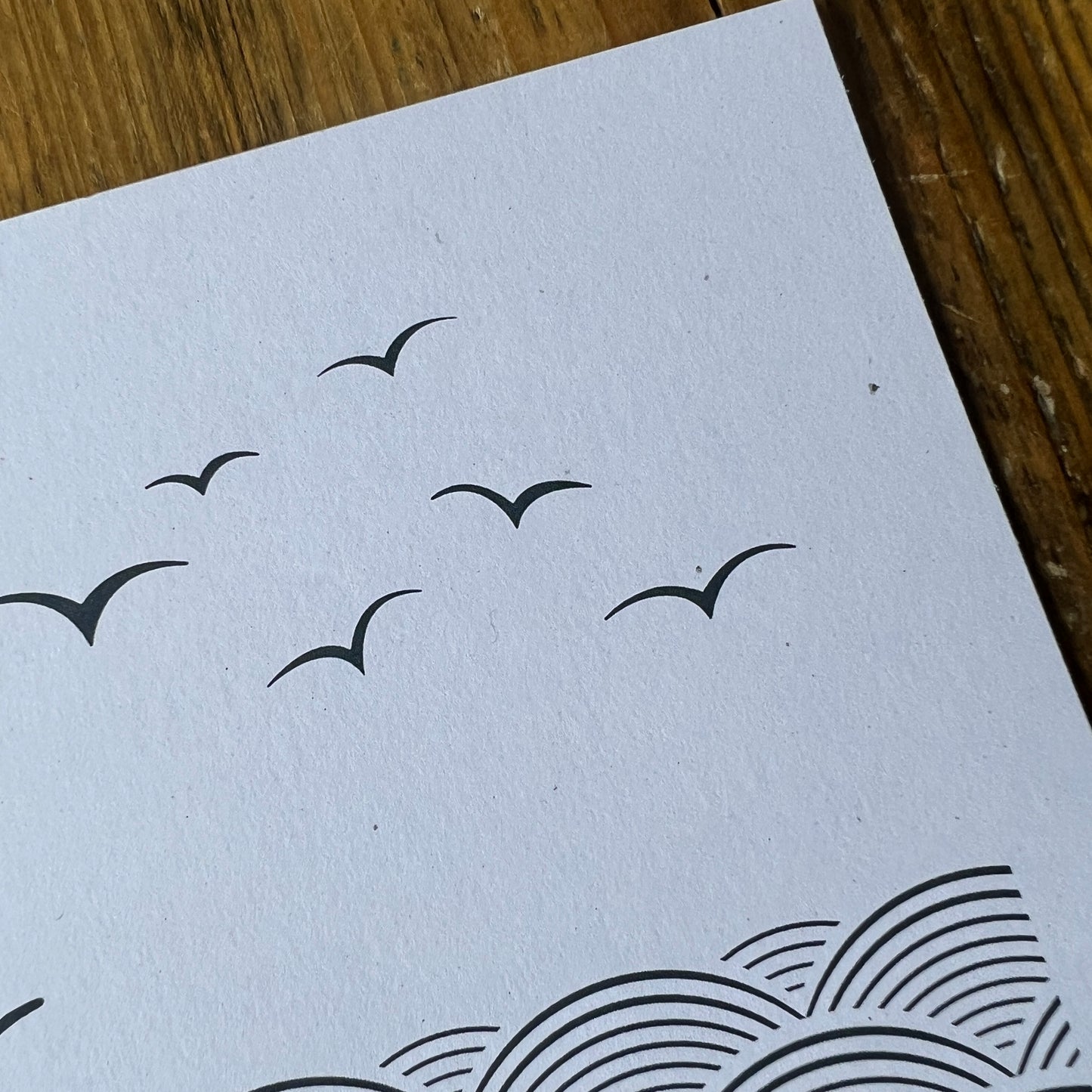WASTE NOT! Wild swims A4 prints
