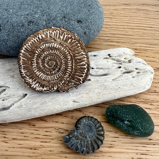 Ammonite etched wooden brooch