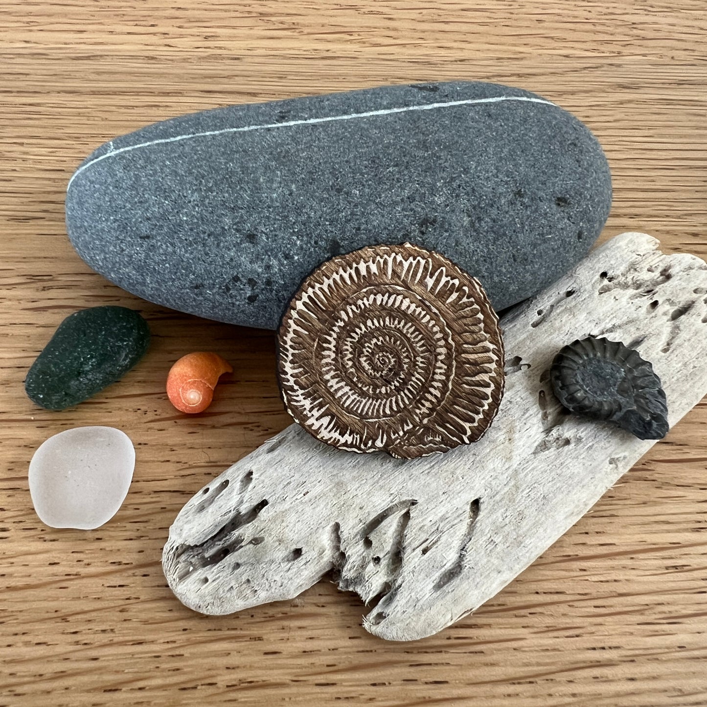 Ammonite etched wooden brooch