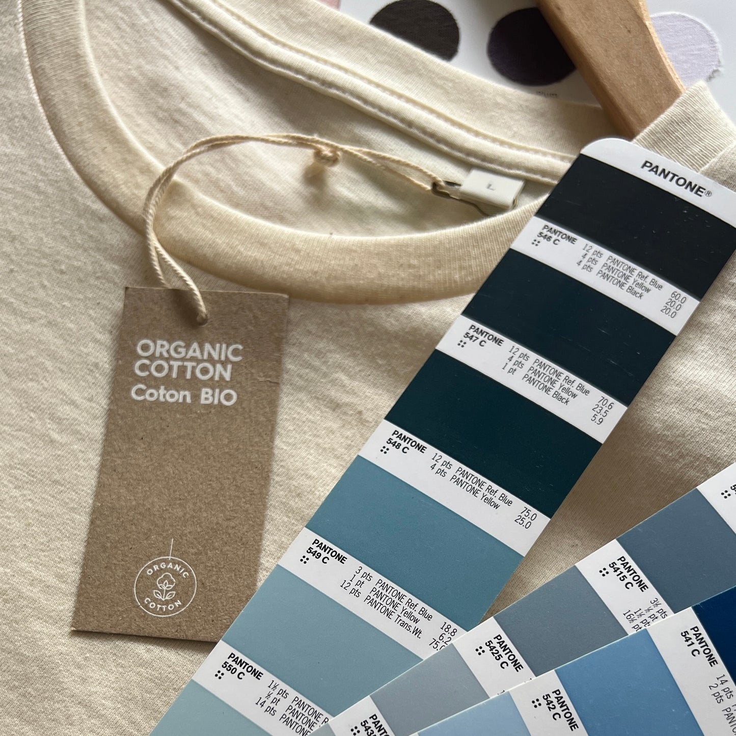Organic cotton wild swimming t-shirt (PRE-ORDER)