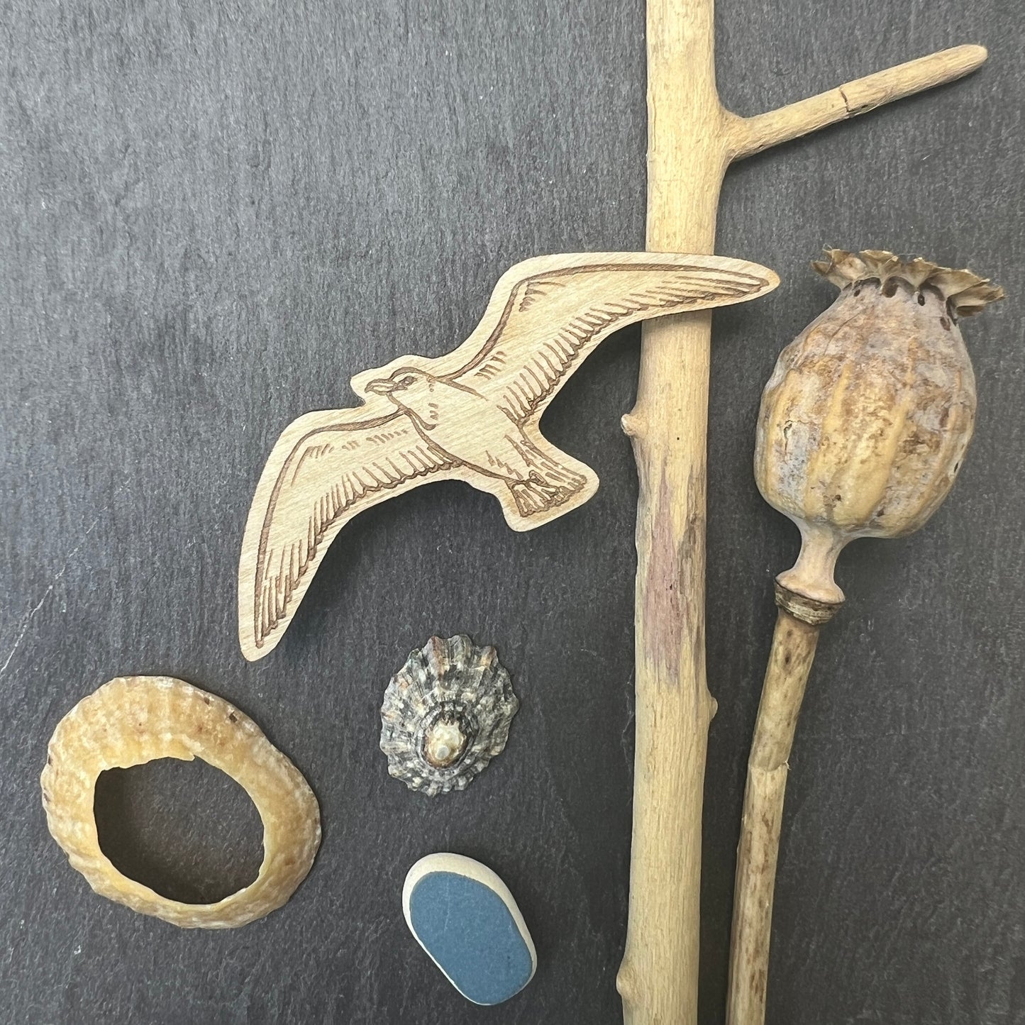 Seagull etched wooden badge