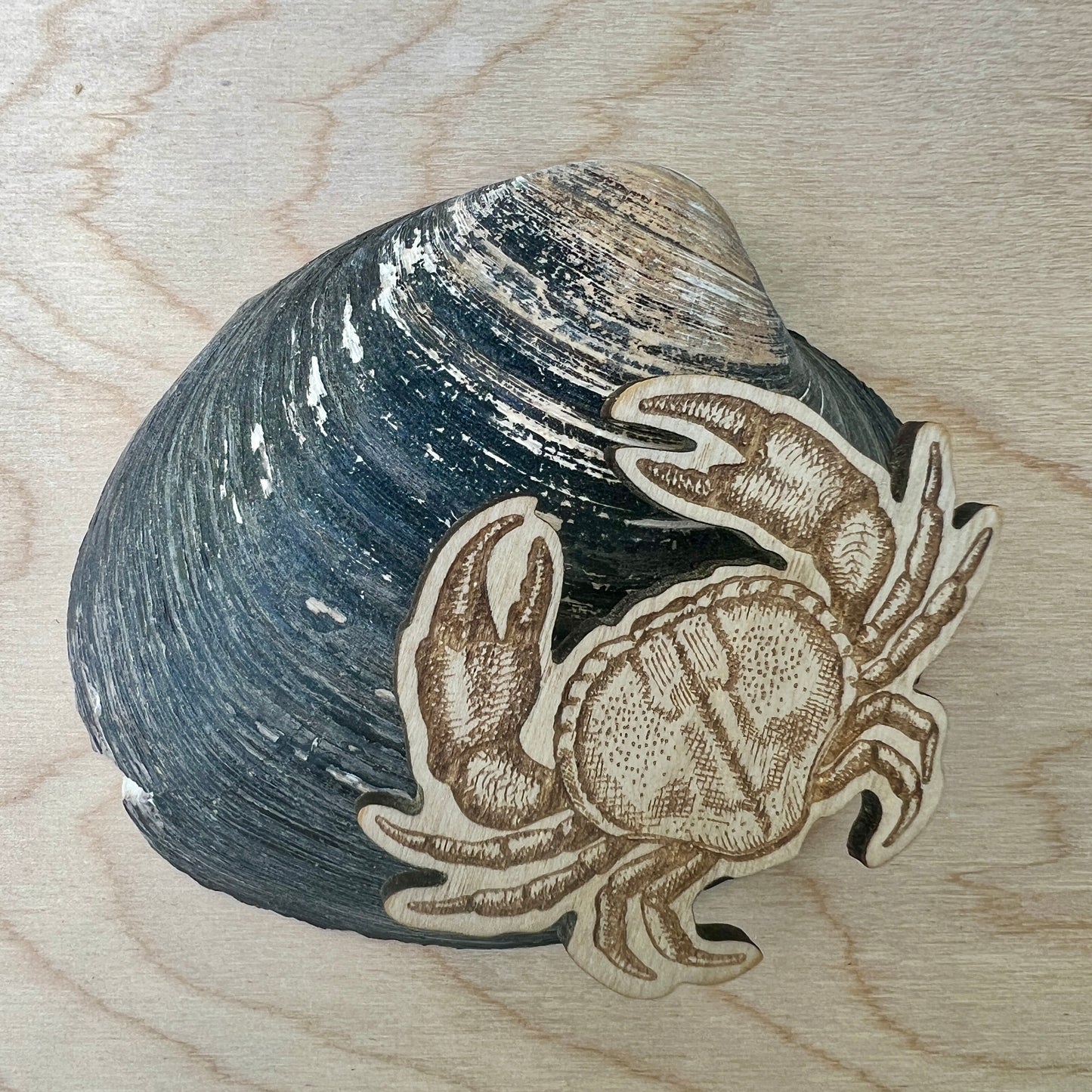 Crab etched wooden badge