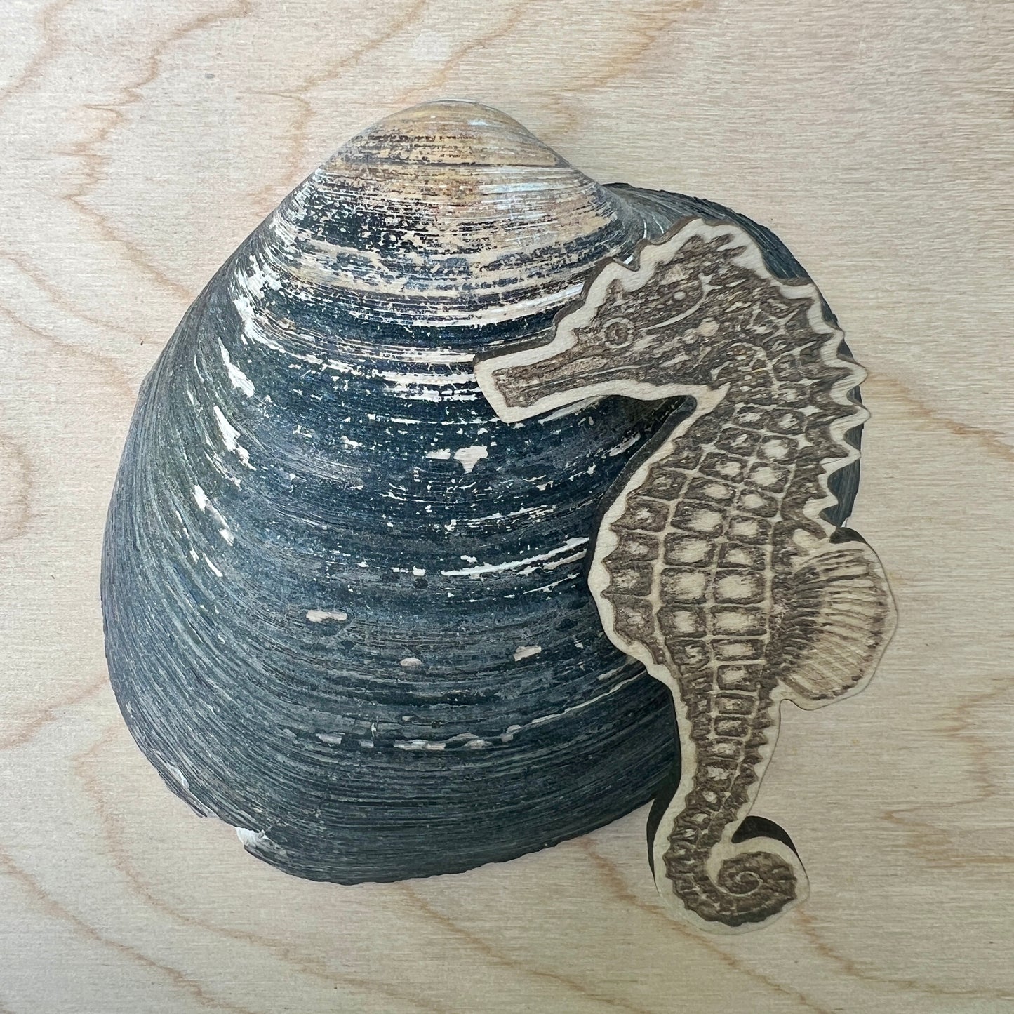 Seahorse etched wooden badge