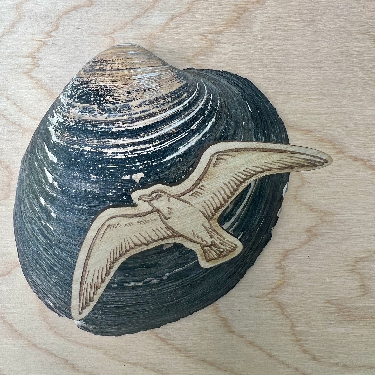 Seagull etched wooden badge