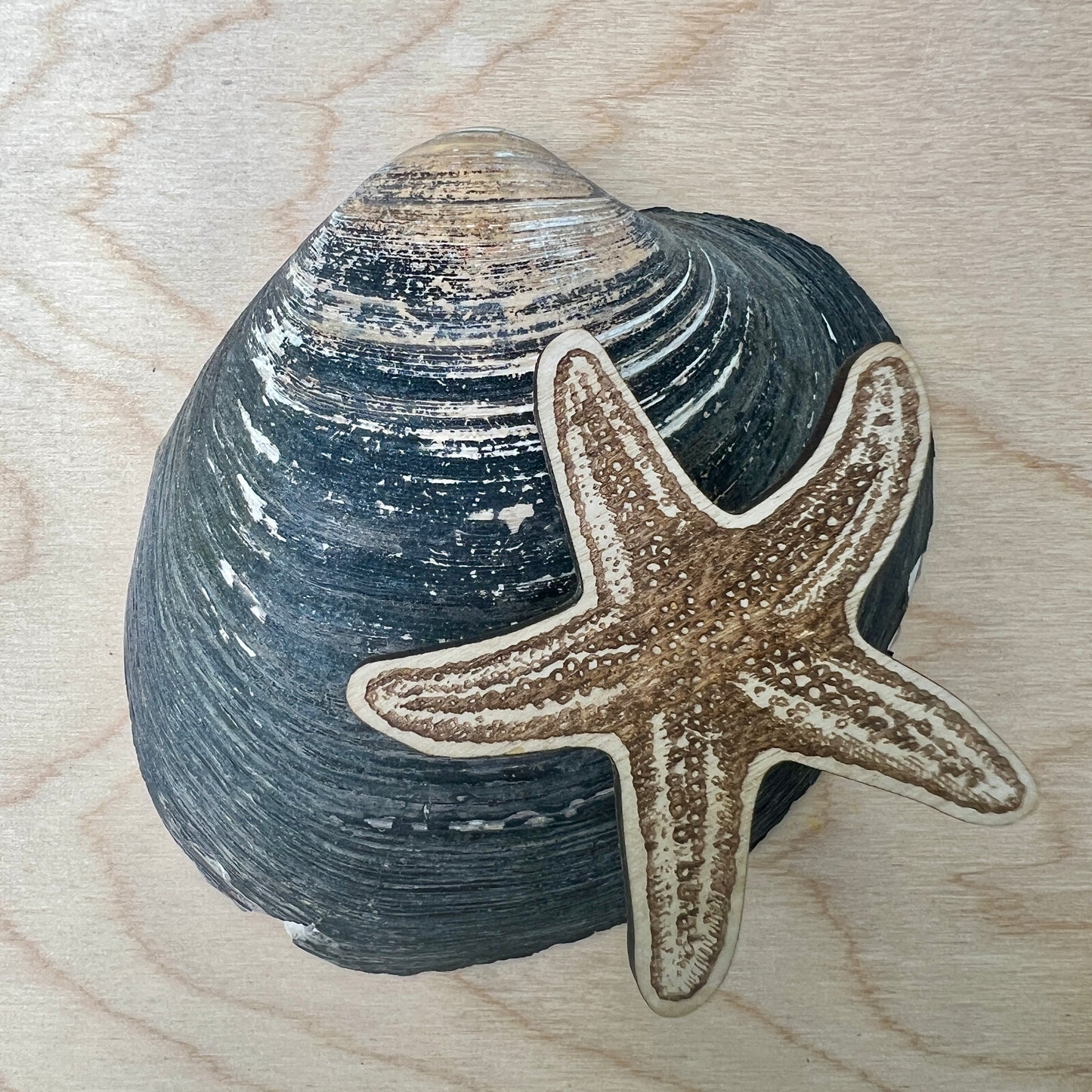 Starfish etched wooden badge