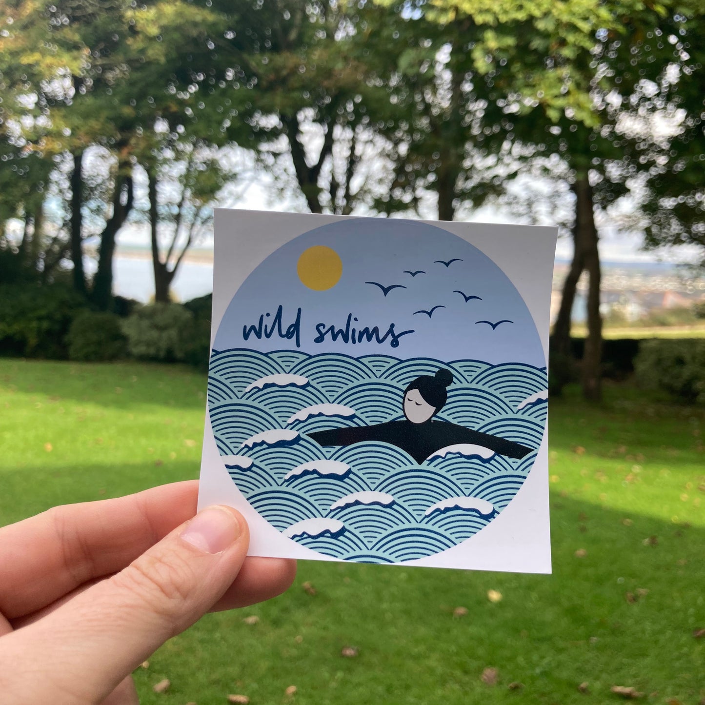 Wild swims self cling window sticker