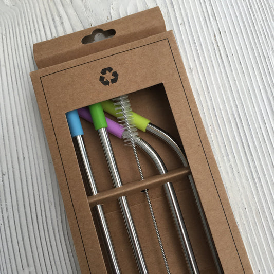 Reusable stainless steel straws | set of four | with silcone tips and cleaning brush